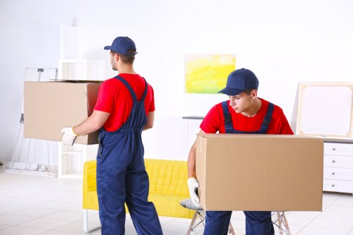 Moving boxes and professional removal service introduction in Isleworth
