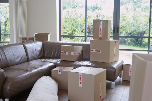 Careful loading of household items into a van for a local move