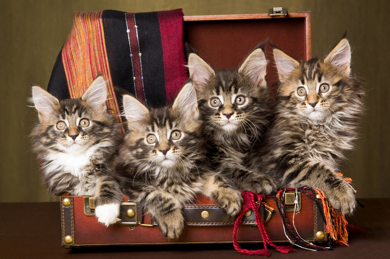 packing services boxes